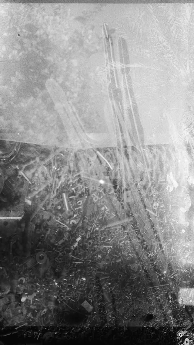 Back to Black .
A new year starts. Surrounded by t…