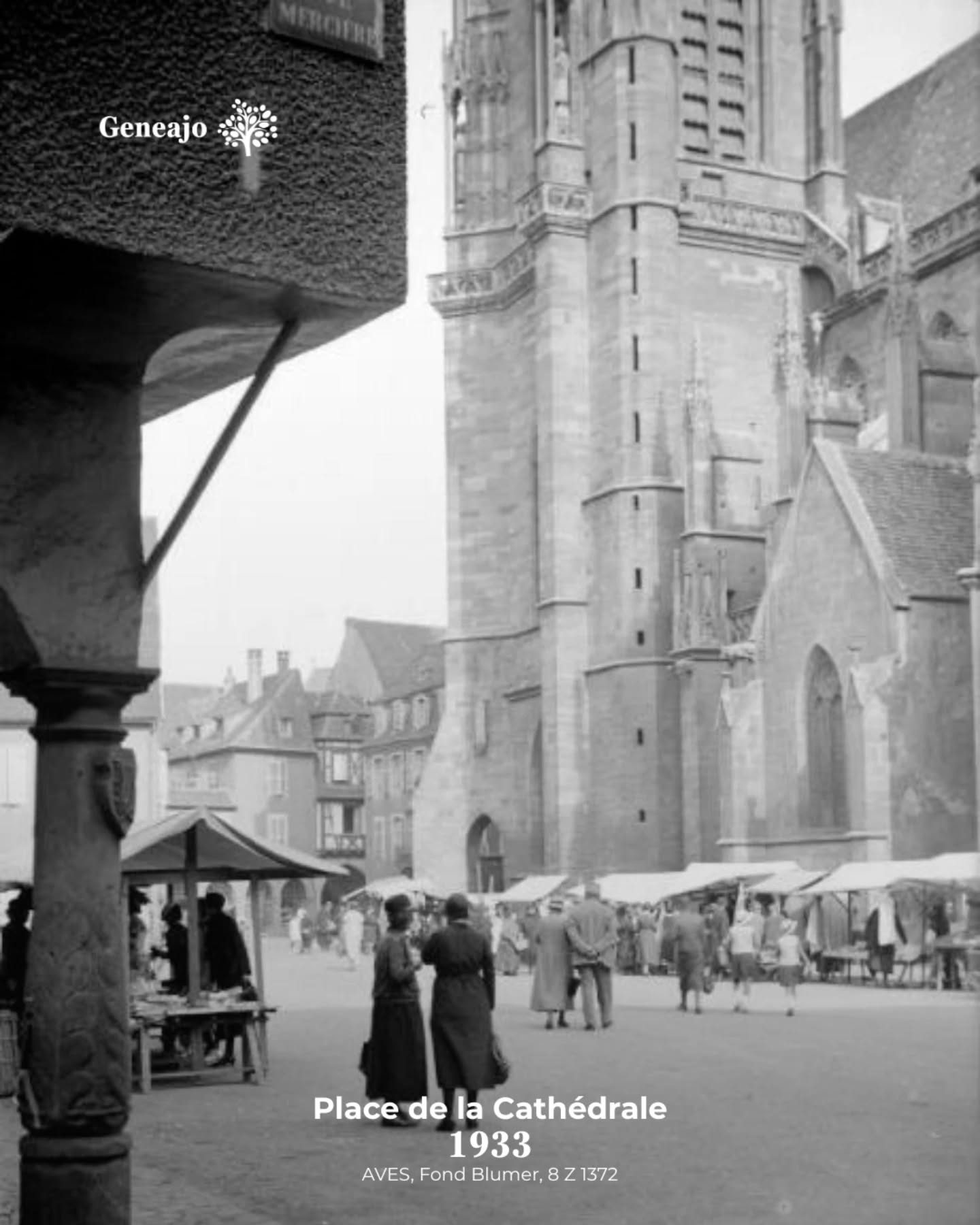 À l'occasion du bicentenaire de la photographie, je vais te présenter, de temps à autre, des vieilles photos de nos différentes communes alsaciennes ! 📸 🔴⚪️
ℹ️ À noter que la plupart des images sont issues du Fond Blumer et Tony des archives de Strasbourg. Des fonds remarquables ! 🤩
📷 "Rue des Marchands", ©alonegro, Geneanet
Tu connaissais ces photos ? Tu préfères Colmar maintenant ou avant ? 👇
#alsace #colmar #photo #histoire #culture