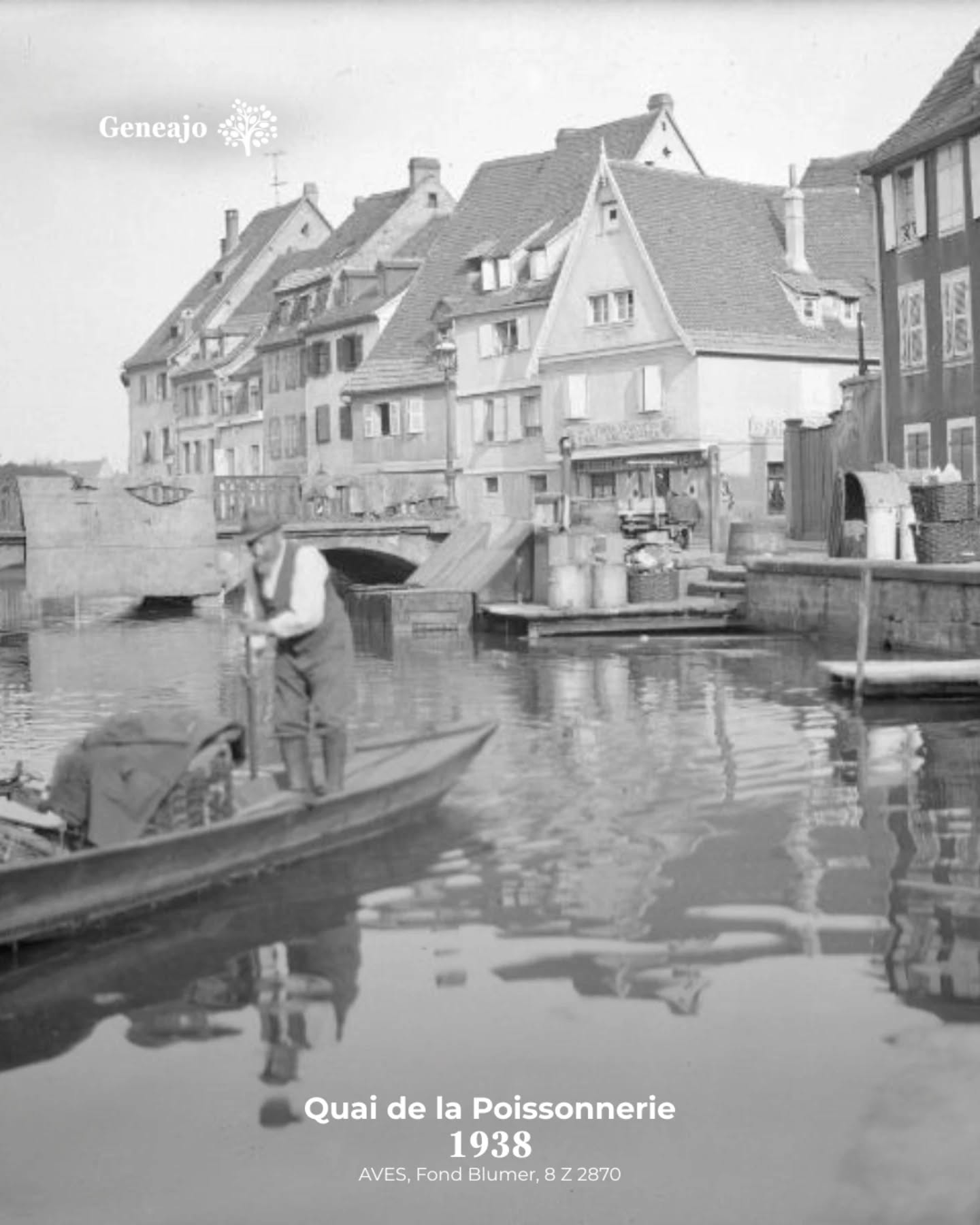 À l'occasion du bicentenaire de la photographie, je vais te présenter, de temps à autre, des vieilles photos de nos différentes communes alsaciennes ! 📸 🔴⚪️
ℹ️ À noter que la plupart des images sont issues du Fond Blumer et Tony des archives de Strasbourg. Des fonds remarquables ! 🤩
📷 "Rue des Marchands", ©alonegro, Geneanet
Tu connaissais ces photos ? Tu préfères Colmar maintenant ou avant ? 👇
#alsace #colmar #photo #histoire #culture