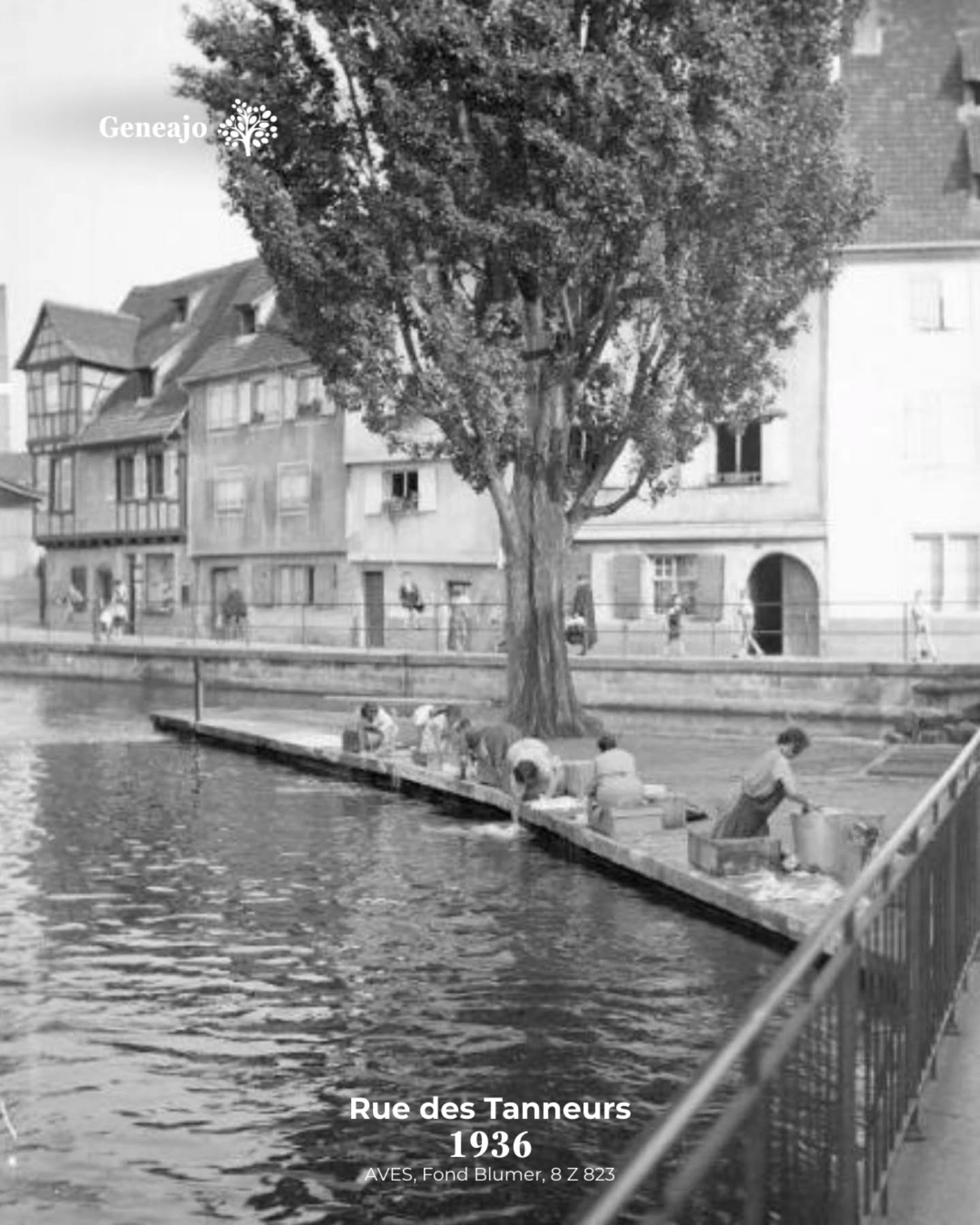 À l'occasion du bicentenaire de la photographie, je vais te présenter, de temps à autre, des vieilles photos de nos différentes communes alsaciennes ! 📸 🔴⚪️
ℹ️ À noter que la plupart des images sont issues du Fond Blumer et Tony des archives de Strasbourg. Des fonds remarquables ! 🤩
📷 "Rue des Marchands", ©alonegro, Geneanet
Tu connaissais ces photos ? Tu préfères Colmar maintenant ou avant ? 👇
#alsace #colmar #photo #histoire #culture