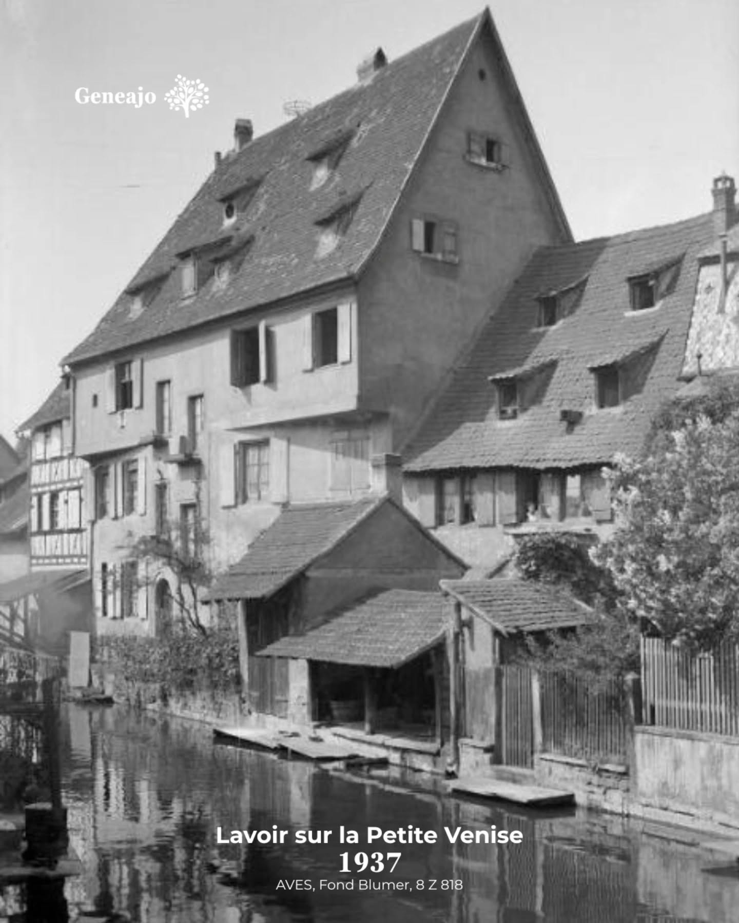 À l'occasion du bicentenaire de la photographie, je vais te présenter, de temps à autre, des vieilles photos de nos différentes communes alsaciennes ! 📸 🔴⚪️
ℹ️ À noter que la plupart des images sont issues du Fond Blumer et Tony des archives de Strasbourg. Des fonds remarquables ! 🤩
📷 "Rue des Marchands", ©alonegro, Geneanet
Tu connaissais ces photos ? Tu préfères Colmar maintenant ou avant ? 👇
#alsace #colmar #photo #histoire #culture