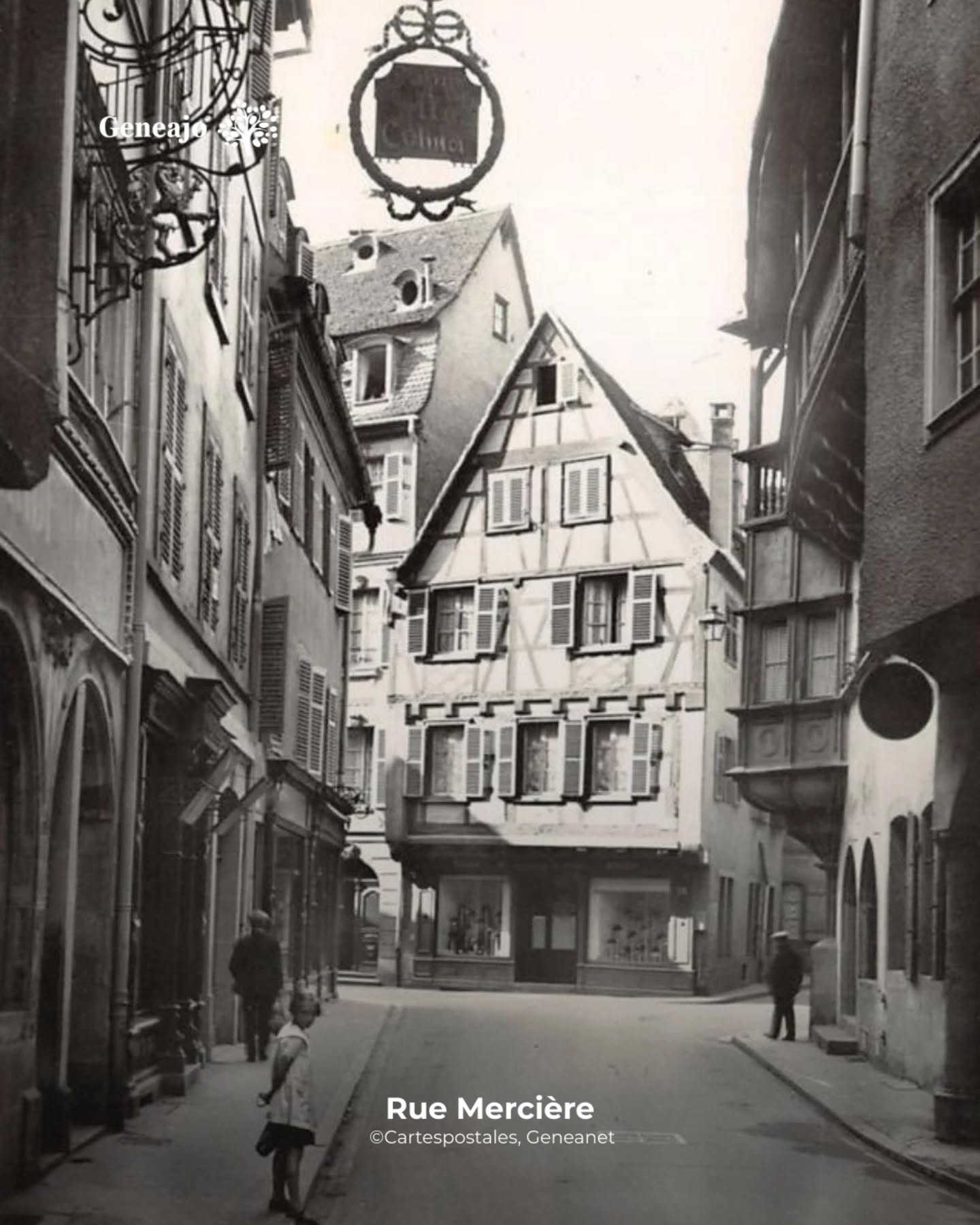 À l'occasion du bicentenaire de la photographie, je vais te présenter, de temps à autre, des vieilles photos de nos différentes communes alsaciennes ! 📸 🔴⚪️
ℹ️ À noter que la plupart des images sont issues du Fond Blumer et Tony des archives de Strasbourg. Des fonds remarquables ! 🤩
📷 "Rue des Marchands", ©alonegro, Geneanet
Tu connaissais ces photos ? Tu préfères Colmar maintenant ou avant ? 👇
#alsace #colmar #photo #histoire #culture